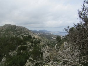 IMG_5118 (Medium)